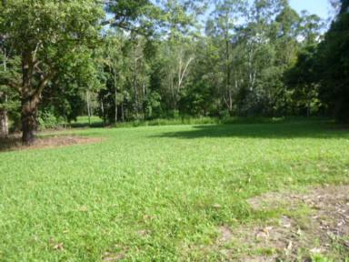 Lifestyle For Sale - QLD - Ingham - 4850 - 1.73 HA. (OVER 4 ACRE) BLOCK WITH RIVER AT REAR!  (Image 2)