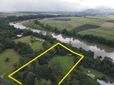 Lifestyle For Sale - QLD - Ingham - 4850 - 1.73 HA. (OVER 4 ACRE) BLOCK WITH RIVER AT REAR!  (Image 2)