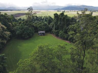 Lifestyle For Sale - QLD - Ingham - 4850 - 1.73 HA. (OVER 4 ACRE) BLOCK WITH RIVER AT REAR!  (Image 2)