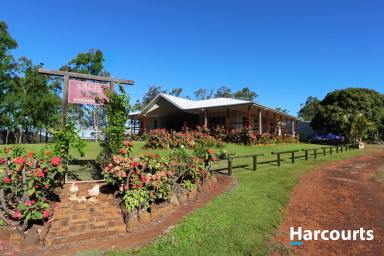 House For Sale - QLD - McIlwraith - 4671 - 520SQM UNDER ROOF ON 75.2 ACRES!  (Image 2)