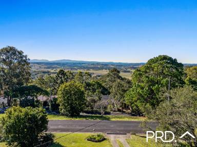 House For Sale - NSW - Goonellabah - 2480 - High on the Ridge  (Image 2)