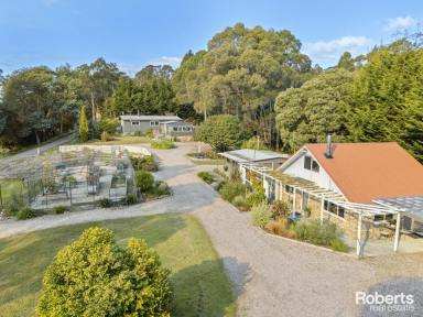 House For Sale - TAS - Railton - 7305 - Infinite Possibilities: 6.5 acres, 3 residences, enormous shed & total privacy  (Image 2)