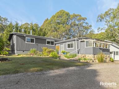 House For Sale - TAS - Railton - 7305 - Infinite Possibilities: 6.5 acres, 3 residences, enormous shed & total privacy  (Image 2)