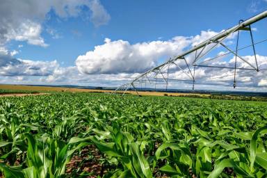 Cropping Sold - NSW - Billimari - 2804 - 145AC CENTRE PIVOT + HIGH FLOW BORE IRRIGATION!  (Image 2)