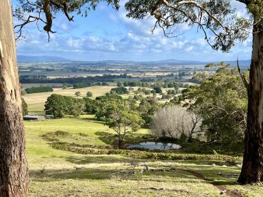 Residential Block For Sale - VIC - Goldie - 3435 - "Eagles' Crest", Red Gap Road , Fagans Lane, Goldie - 48.42 hectares (119.6 acres) Vacant land  (Image 2)