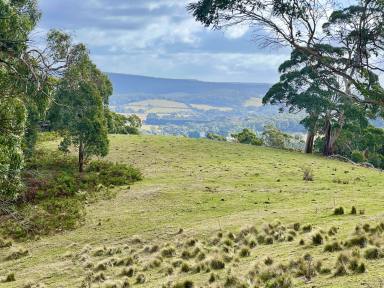 Residential Block For Sale - VIC - Goldie - 3435 - "Eagles' Crest", Red Gap Road , Fagans Lane, Goldie - 48.42 hectares (119.6 acres) Vacant land  (Image 2)