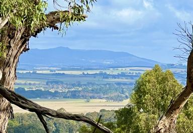 Residential Block For Sale - VIC - Goldie - 3435 - "Eagles' Crest", Red Gap Road , Fagans Lane, Goldie - 48.42 hectares (119.6 acres) Vacant land  (Image 2)