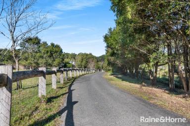 House For Sale - NSW - Wandandian - 2540 - Gorgeous Country Cottage on 2.56 acres  (Image 2)