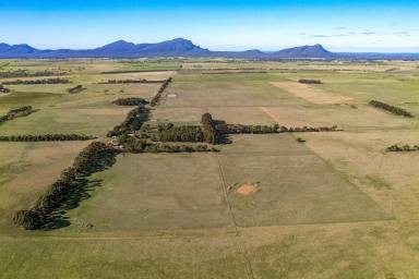 Lifestyle For Sale - VIC - Dunkeld - 3294 - GRAMPIANS VISTAS, PRIVACY AND TRANQUILITY  (Image 2)