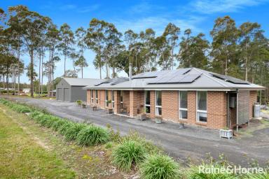 House For Sale - NSW - Bangalee - 2541 - Beautiful Bangalee - One Acre  (Image 2)