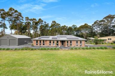 House For Sale - NSW - Bangalee - 2541 - It's Just Five Years Young - 4042m2 Block  (Image 2)