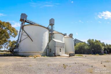 Business For Sale - VIC - Rupanyup - 3388 - The Old Flour Mill - So Much History  (Image 2)