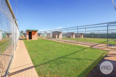 Other (Rural) For Sale - NSW - Tamworth - 2340 - Buy it today and start making money tomorrow!  (Image 2)