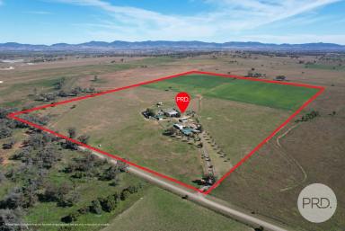 Other (Rural) For Sale - NSW - Tamworth - 2340 - Buy it today and start making money tomorrow!  (Image 2)