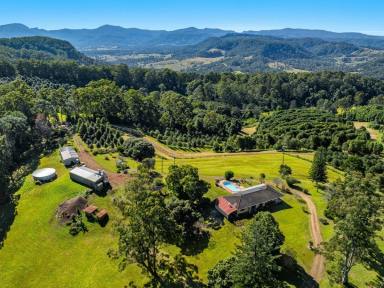 Lifestyle For Sale - NSW - Jiggi - 2480 - When it's All About the Views  (Image 2)