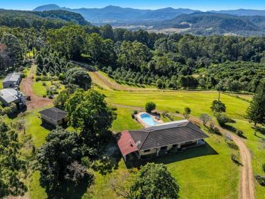 Lifestyle For Sale - NSW - Jiggi - 2480 - When it's All About the Views  (Image 2)