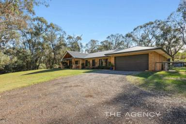 House For Sale - WA - Carabooda - 6033 - Live Your Ultimate Country Lifestyle  (Image 2)