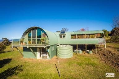 Other (Rural) For Sale - NSW - Buckajo - 2550 - Discover "Smiling Valley" - Your Tranquil Retreat!  (Image 2)