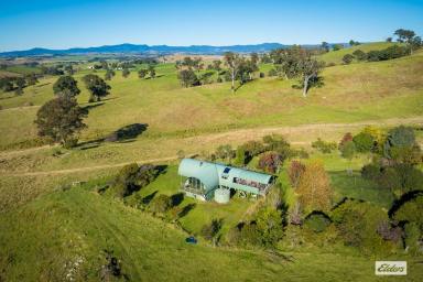 Other (Rural) For Sale - NSW - Buckajo - 2550 - Discover "Smiling Valley" - Your Tranquil Retreat!  (Image 2)