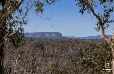 House For Sale - NSW - Bundanoon - 2578 - Defined by Breathtaking Views - Motivated Vendor!  (Image 2)