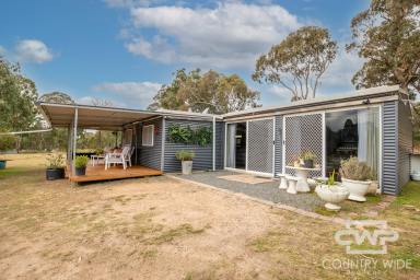 Lifestyle For Sale - NSW - Torrington - 2371 - Off-Grid Paradise  (Image 2)