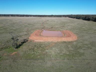 Mixed Farming For Sale - NSW - Temora - 2666 - Mixed Farm In Reliable Area With Building Entitlement  (Image 2)