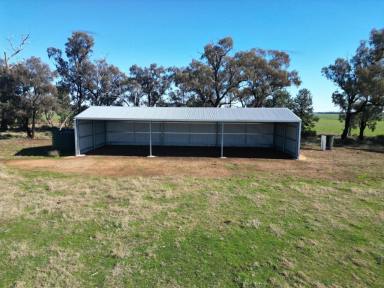 Mixed Farming For Sale - NSW - Temora - 2666 - Mixed Farm In Reliable Area With Building Entitlement  (Image 2)