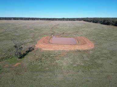 Mixed Farming For Sale - NSW - Temora - 2666 - Mixed Farm In Reliable Area  (Image 2)