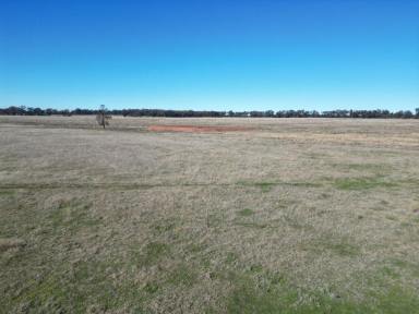 Mixed Farming For Sale - NSW - Temora - 2666 - Mixed Farm In Reliable Area  (Image 2)