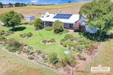 Acreage/Semi-rural For Sale - NSW - Tenterfield - 2372 - 'Bella-Vista' - Home Block.....  (Image 2)