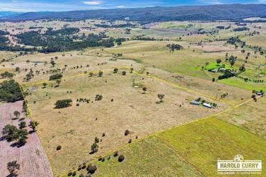 Acreage/Semi-rural For Sale - NSW - Tenterfield - 2372 - 'Bella-Vista' - Home Block.....  (Image 2)