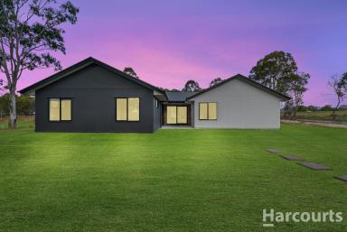 House Sold - QLD - Oakhurst - 4650 - Prestige 5 Acres - 5 Bedrooms - 5 Mins to town  (Image 2)