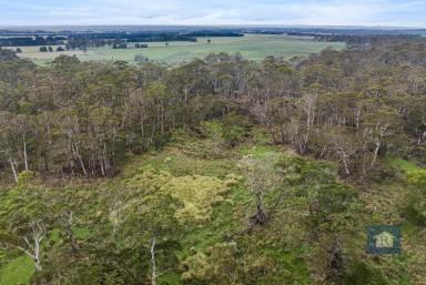 Other (Rural) For Sale - VIC - Swan Marsh - 3249 - Untamed Beauty  (Image 2)