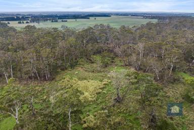 Other (Rural) Sold - VIC - Swan Marsh - 3249 - Untamed Beauty  (Image 2)