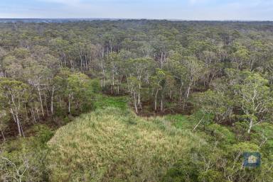 Other (Rural) Sold - VIC - Swan Marsh - 3249 - Untamed Beauty  (Image 2)