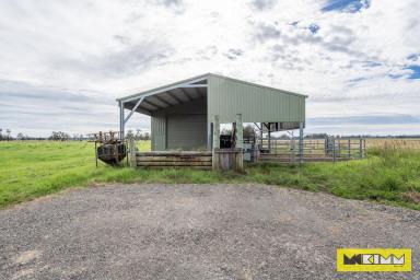 Livestock Sold - NSW - Ulmarra - 2462 - IN THE GOOD PADDOCK  (Image 2)