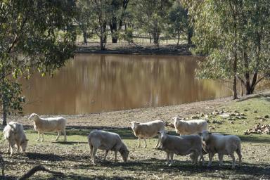 Lifestyle For Sale - VIC - Earlston - 3669 - Rural Splendour on 12-Acres with Expansive Farming Facilities  (Image 2)