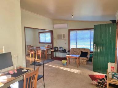 House For Sale - NSW - Gundagai - 2722 - Neat, tidy & a view  (Image 2)