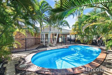 House Sold - QLD - Urangan - 4655 - Vacant And Waiting to Help Raise Your Family….  (Image 2)