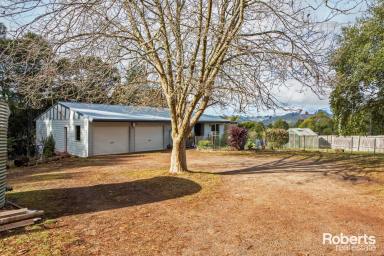 Acreage/Semi-rural For Sale - TAS - Wilmot - 7310 - This is what living in Tassie is all about!  (Image 2)