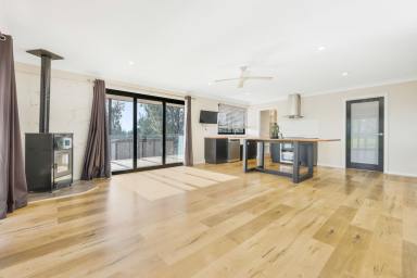 Lifestyle For Sale - NSW - Tamworth - 2340 - PEACEFUL, MODERN HOME CONVENIENTLY LOCATED  (Image 2)