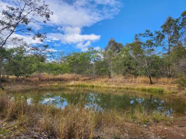 Lifestyle Sold - QLD - Taromeo - 4314 - 5 Acres, 6M x 9M Shed/Weekender with Large Dam & Fully Fenced  (Image 2)