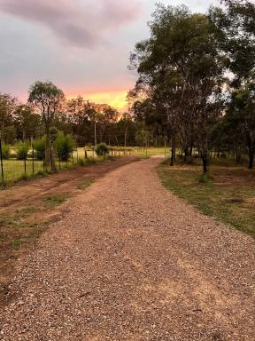 Lifestyle Sold - QLD - Taromeo - 4314 - 5 Acres, 6M x 9M Shed/Weekender with Large Dam & Fully Fenced  (Image 2)