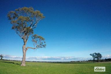 Other (Rural) For Sale - VIC - Stratford - 3862 - A BEAUTIFUL LANDSCAPE  (Image 2)