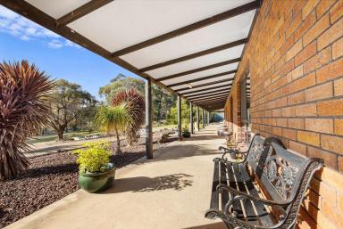 House Sold - VIC - Smythesdale - 3351 - One-Owner Quality Family Home in Picturesque Setting  (Image 2)