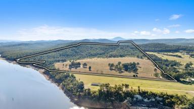 Lifestyle For Sale - VIC - Coongulla - 3860 - ABSOLUTE LAKE FRONTAGE  (Image 2)