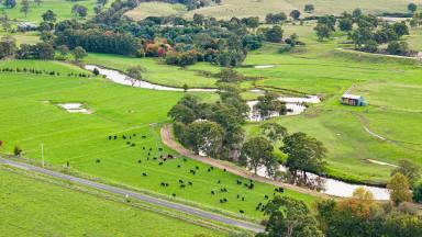 Cropping For Sale - VIC - Maffra West Upper - 3859 - OUTSTANDING CENTRAL GIPPSLAND GRAZING PROPERTY  (Image 2)