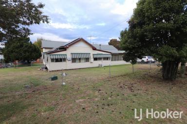 House For Sale - NSW - Inverell - 2360 - Calling All Horse Enthusiasts  (Image 2)