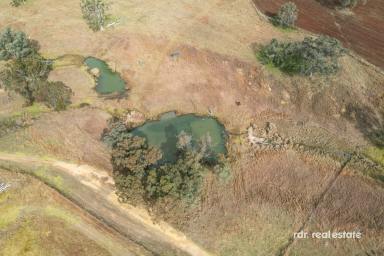 Mixed Farming For Sale - NSW - Inverell - 2360 - SANDY KNOWE  (Image 2)