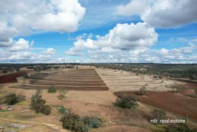 Mixed Farming For Sale - NSW - Inverell - 2360 - SANDY KNOWE  (Image 2)